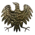 Awatar użytkownika