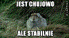 Awatar użytkownika