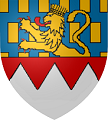 Awatar użytkownika